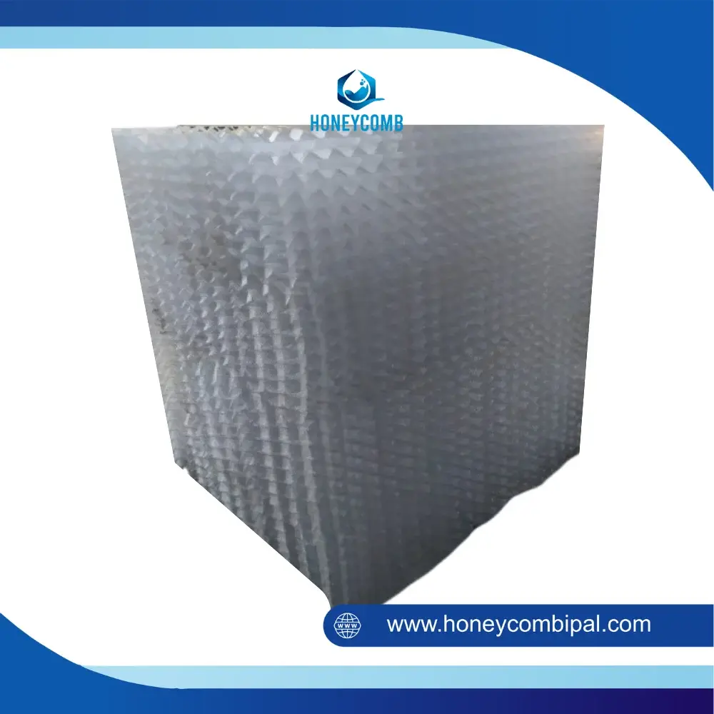 Media Bakteri Honeycomb