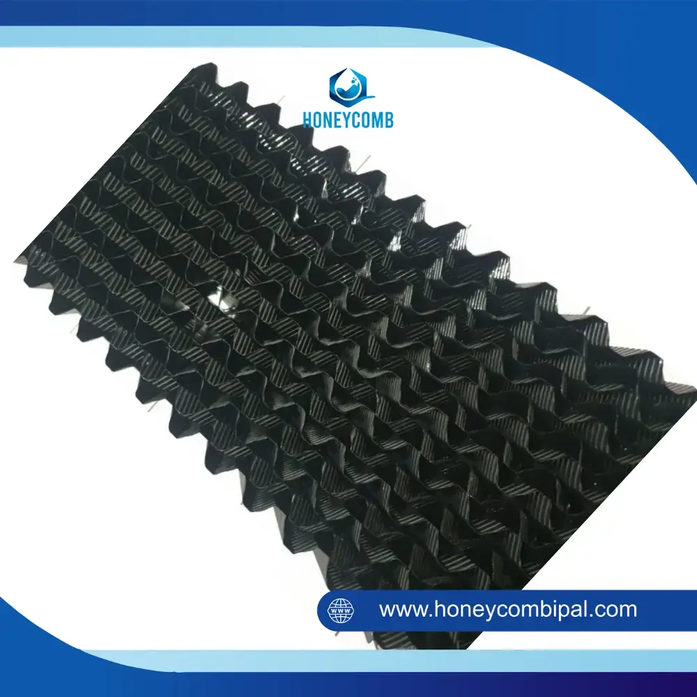 Media Sarang Tawon STP