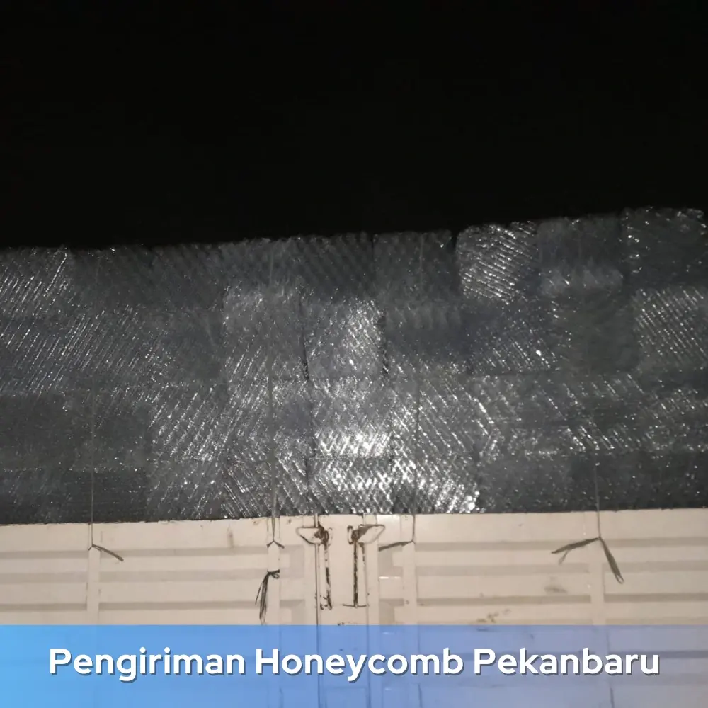 Penyumbatan Honeycomb IPAL