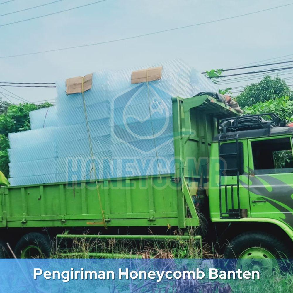 Honeycomb STP