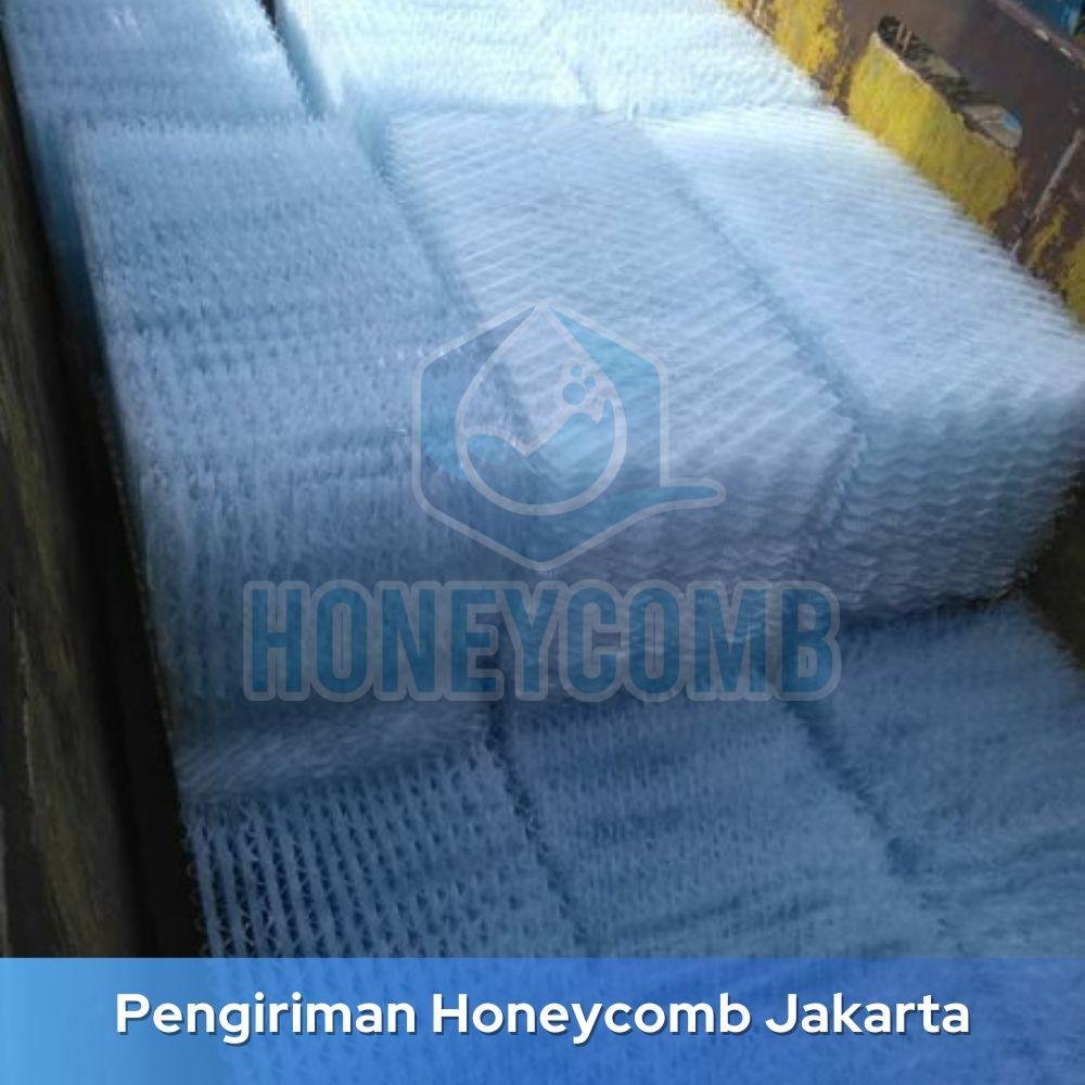 Honeycomb Filter Ipal Bogor TERJANGKAU