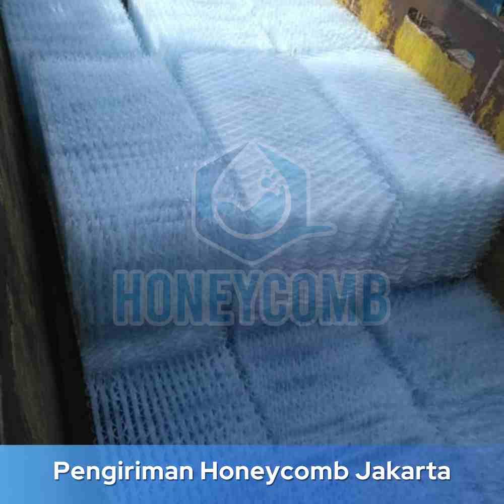 Honeycomb IPAL Citeras