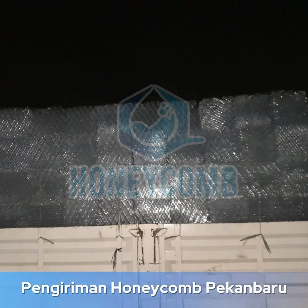Honeycomb Ipal Pesisir Selatan