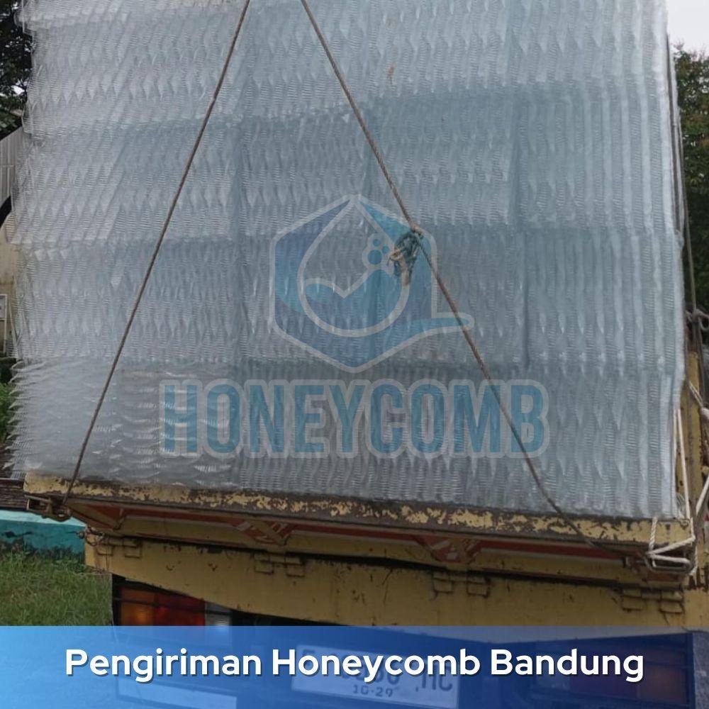 Perbedaan Media Sarang Tawon Honeycomb terbaik