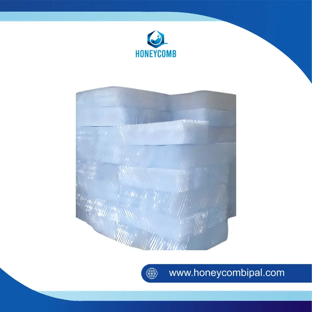 Rumah Bakteri Filter