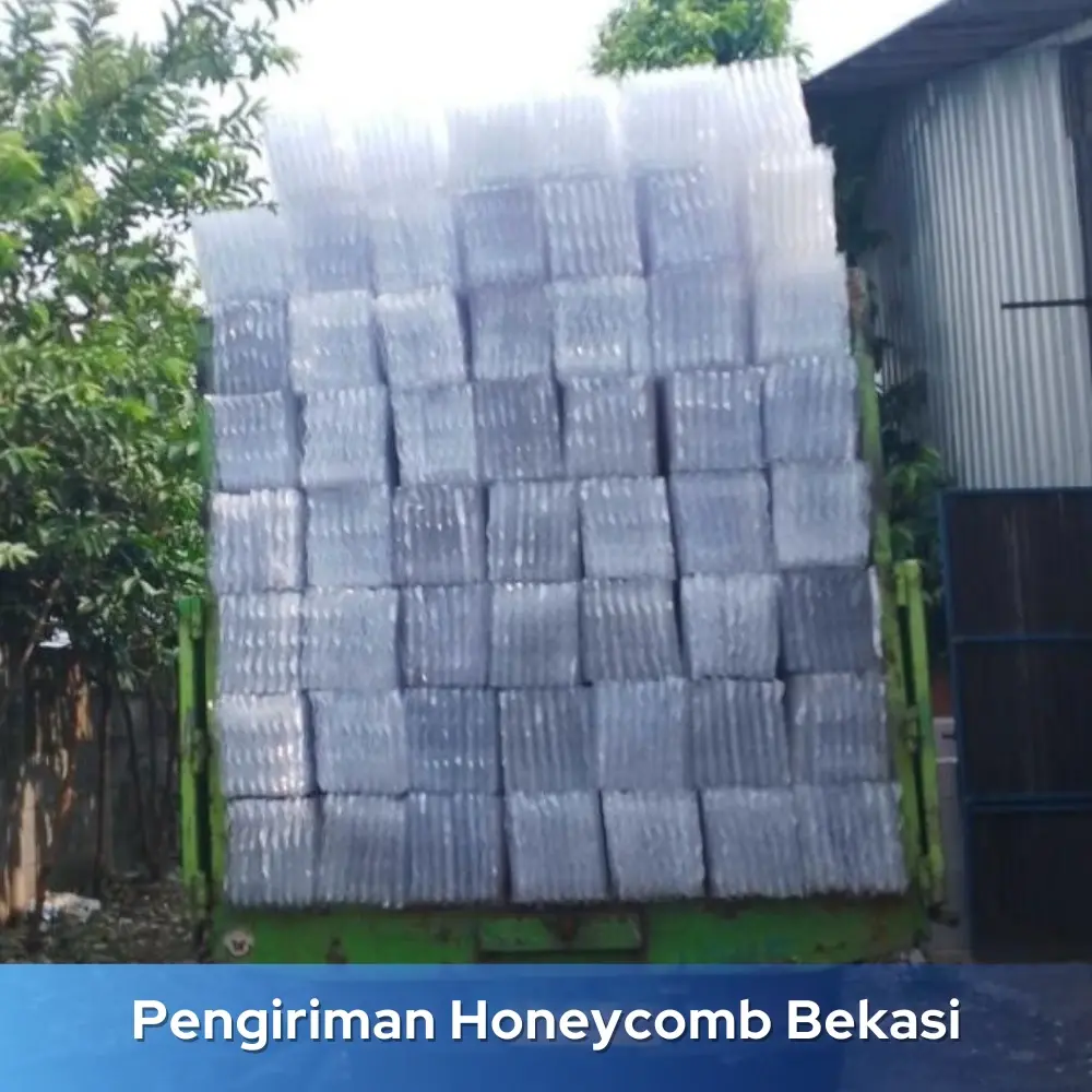 Honeycomb IPAL